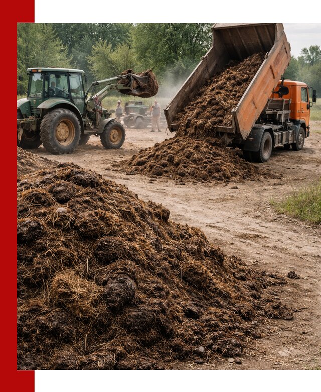 Доставка навоза самосвалами в Салехарде для сельхозпотребностей